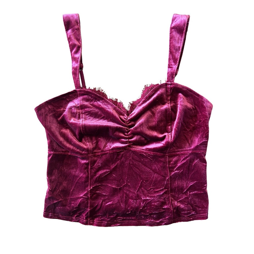 ABERCROMBIE & FITCH Cranberry Wine Whimsigoth Vampy Velour Crop Tank Medium